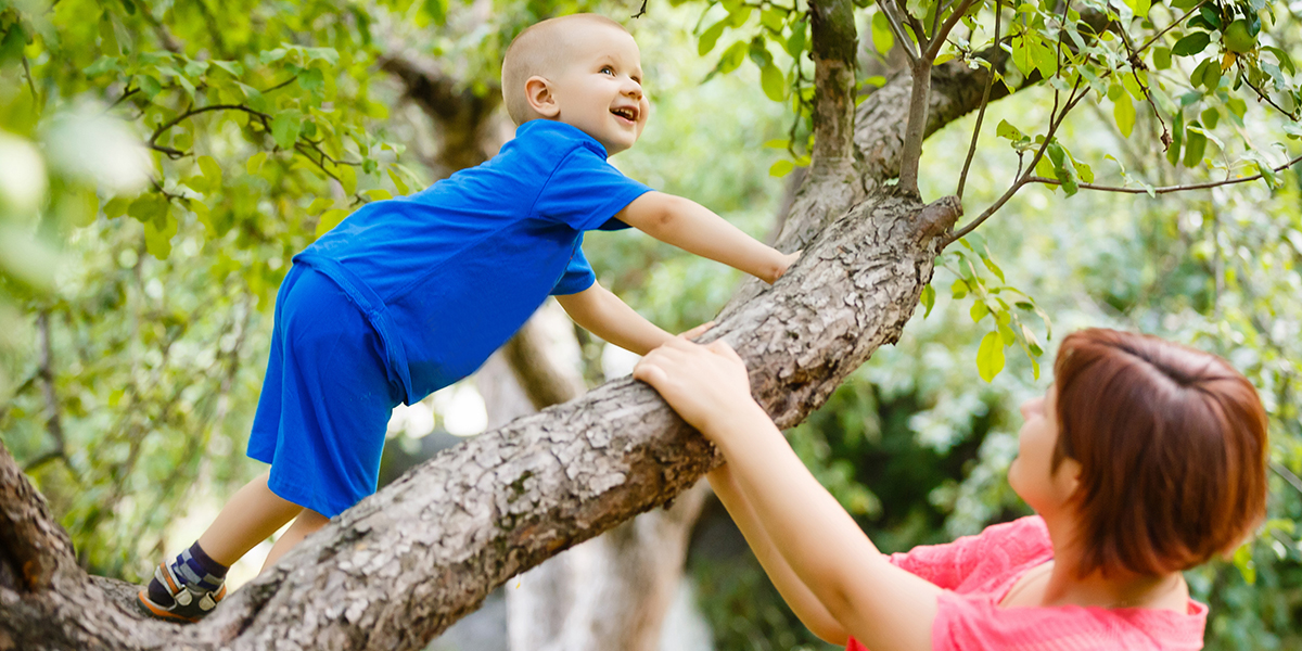 Child in Tree