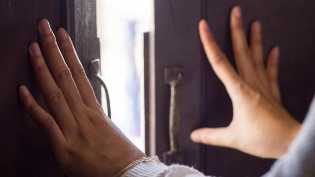 DOOR HANDS