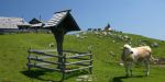 VELIKA PLANINA SLOVENIA