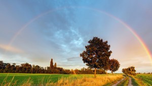 RAINBOW FIELD