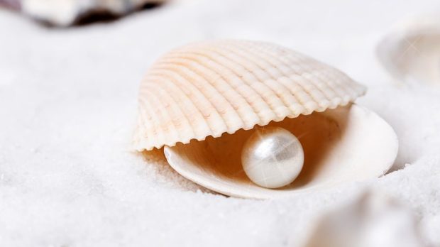 WEB 3-PEARL-SEAHELL-Shutterstock
