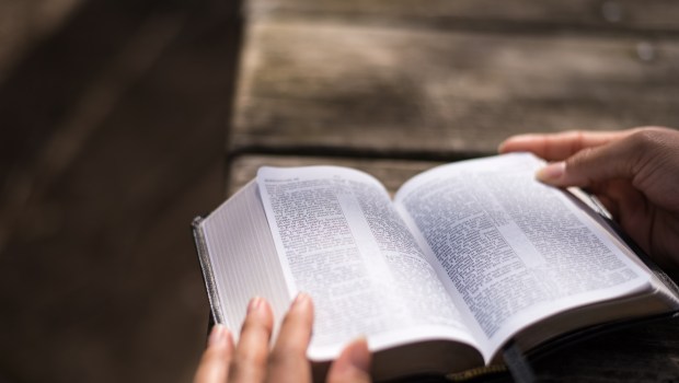 BIBLE