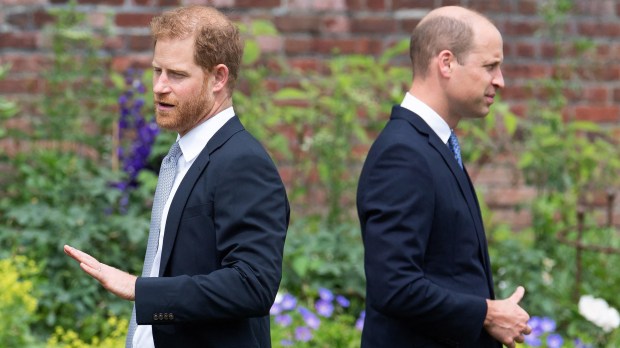 Britain's Prince Harry and Prince William