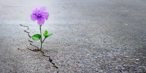4 načini, kako živeti upanje v nadaljevanju adventa
