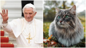 Pope Benedict and cat