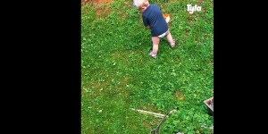 Prisrčen video malčka med delom je odličen nauk za vse nas