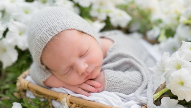 newborn baby in white flowers