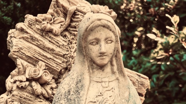 Statue of mary in yard