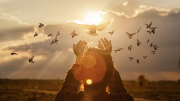 Oración por la paz en las naciones en guerra
