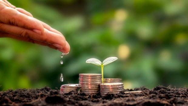 The business man's hand is watering the plants growing on the pile of coins