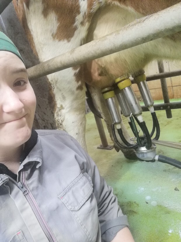 Klavdija Bastl Enci