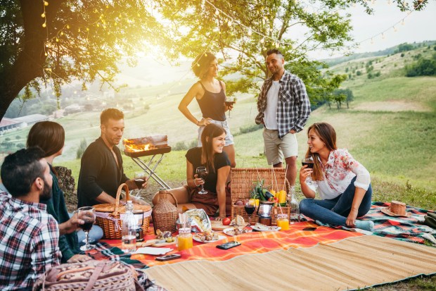 family picnic