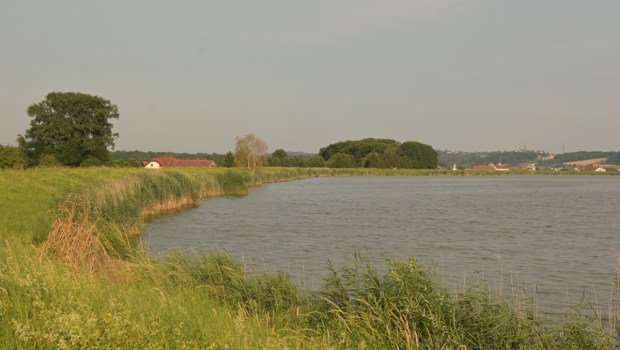 Grossmannova pot