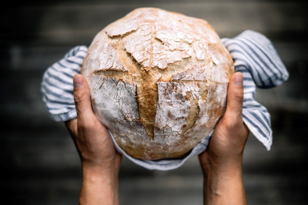 Traditional leavened sourdough bread in baker hands on a rustic wooden table