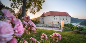 Ste za izlet na mogočni grad, ki odstira čas srednjega veka?