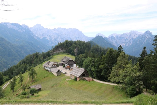 Solčavska panoramska cesta