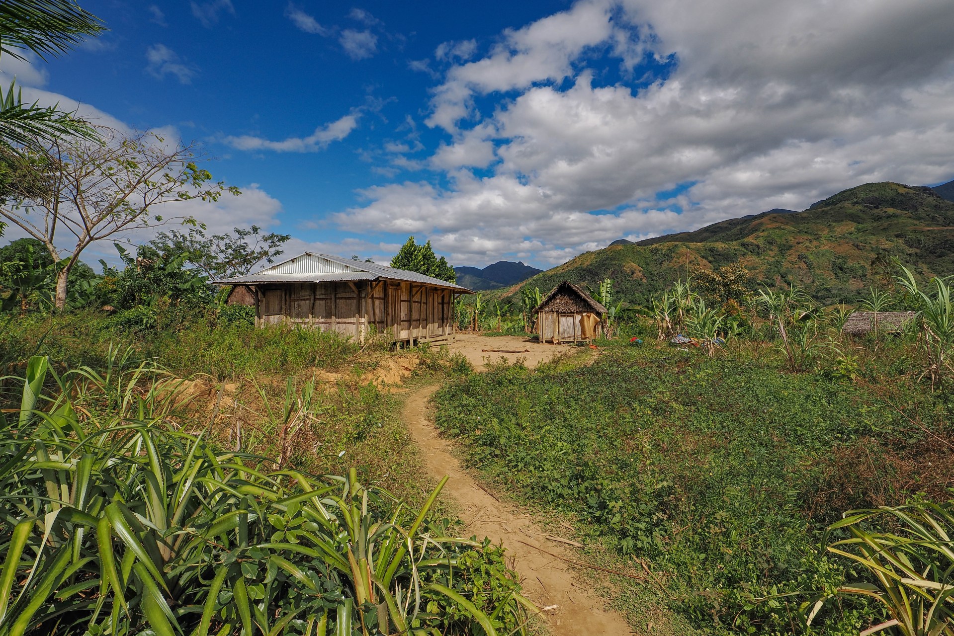 joze-cuk-madagaskar-7.jpg
