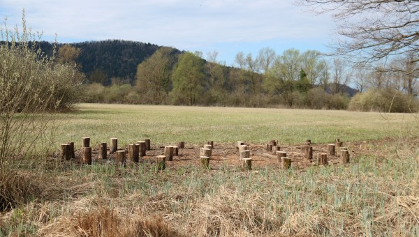 Iski morost